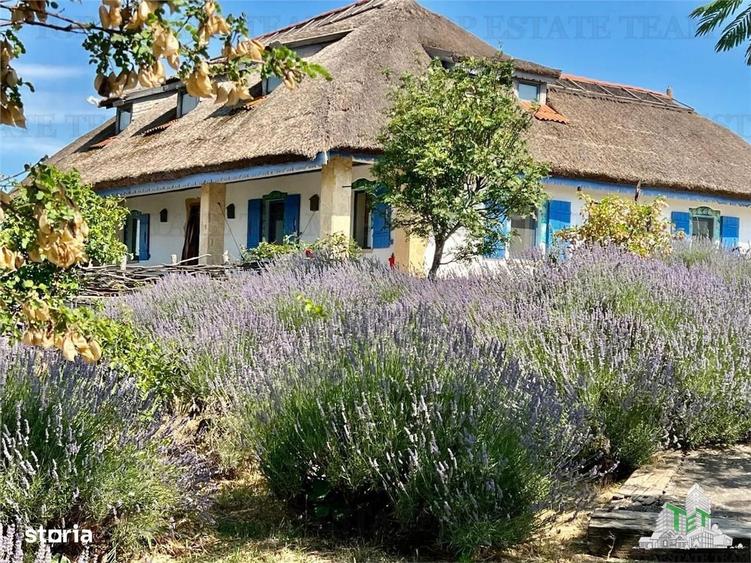 Resort Delta Dunarii | 21 camere | 18 unitati cazare | aproape de Mare - 6