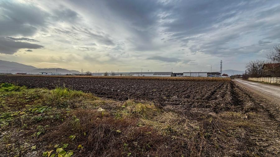 Teren industrial, intravilan, cu utilitati, Stupini, 11.600 mp - 2