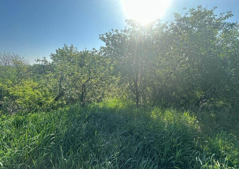 Casa Individuala Ozun Covasna teren 3200 mp - 13