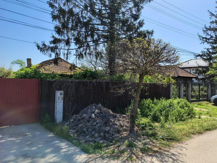 Moara Vlasiei, 320 MP, asfalt+utilitati, urbanism+avize - 35.000 EUR - 2