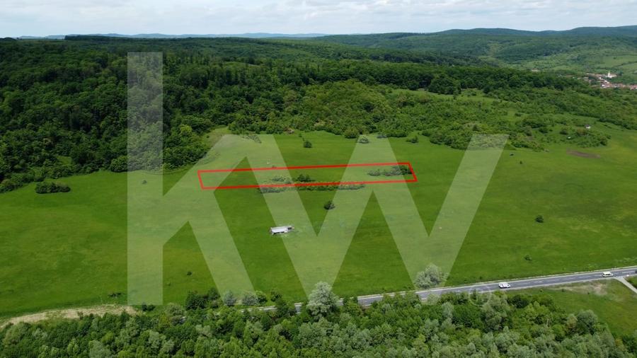 Teren de vanzare – 4.000 mp la intrare in Bradu, judetul Sibiu - 3