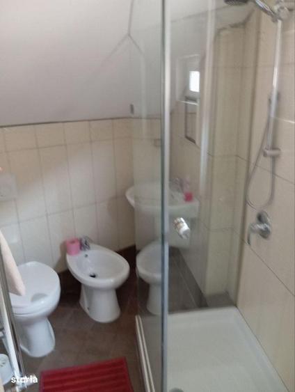 Vila/Pensiune/Minihotel/vanzare /inchiriere Centru Casa Casatoriilor - 7