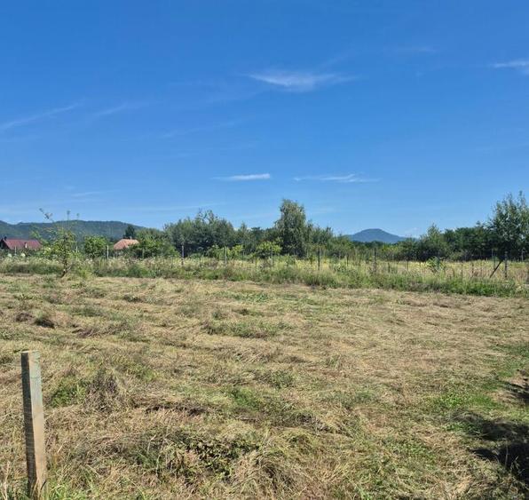 Merisor, 30 ari teren parcelabil - 2