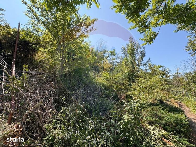 Teren intravilan 589 mp si cabana din caramida in Cuvin - 2