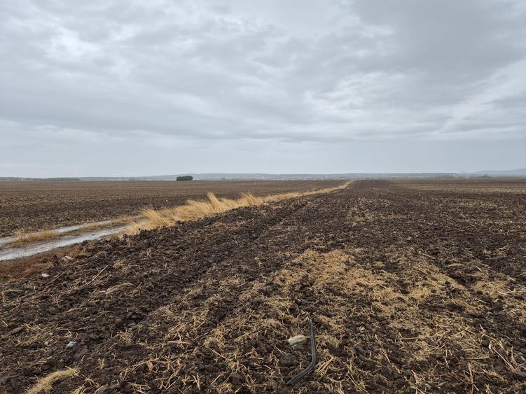Metro Ploiesti - Paulesti, vanzare teren 39.144mp. - 14