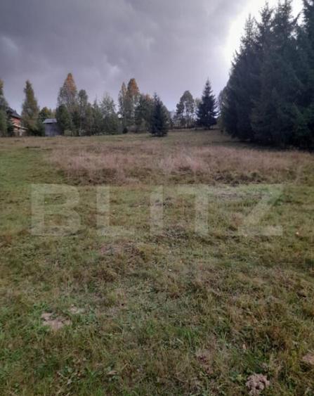 Teren intravilan de vanzare, 2280 mp, Vatra Dornei - 1