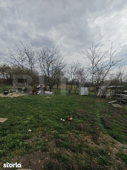 Teren intravilan 3000 mp, in Sandulesti - 3