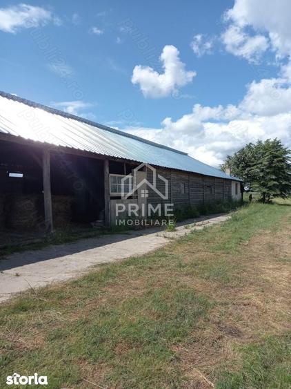 Teren extravilan cu saivan de animale de vanzare| 20.000 mp | SEBES. - 1