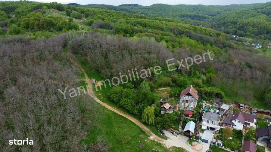 Teren de vanzare in Curtea de Arges ( 2026 mp ). - 7
