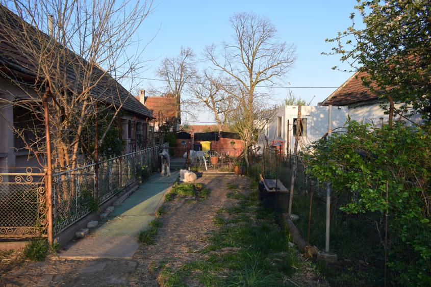 Teren intravilan 1000mp + casuta mica structura metalica + casa demolabila - 3