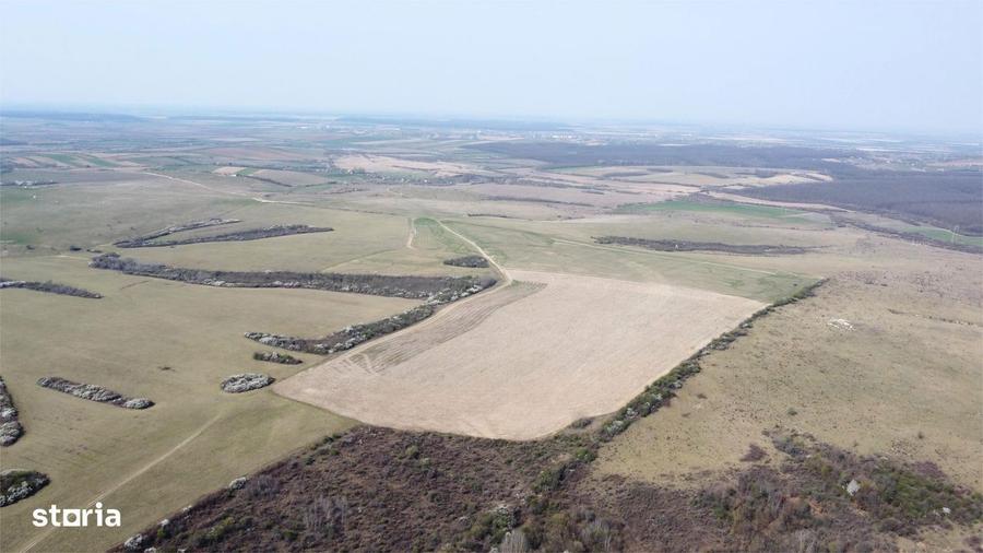 Teren 26.82 ha Ardud | Oportunitate pentru dezvoltare - 6