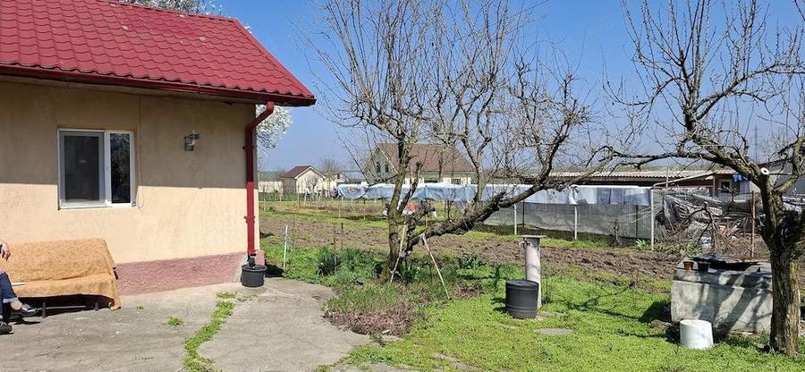 Casa Ciocarlia 100 mp + 1600 mp curte - 10