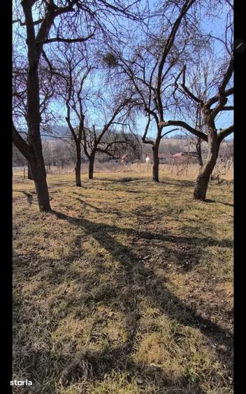 Teren intravilan, 2848 MP, Arghisu - 11