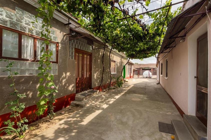 Teren mare cu 2 case si front la 2 strazi in Tamaseu - 41