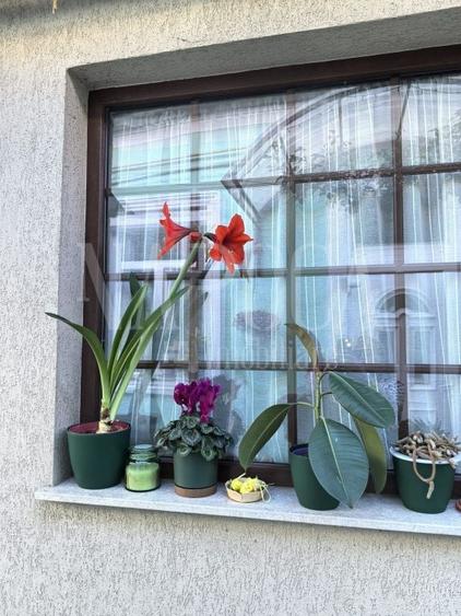 Casa 3 camere de vanzare in Centru Oradea, Oradea - 13