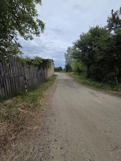 Teren cu hale de vanzare sau inchiriere ideal  investitie - Medies - 5