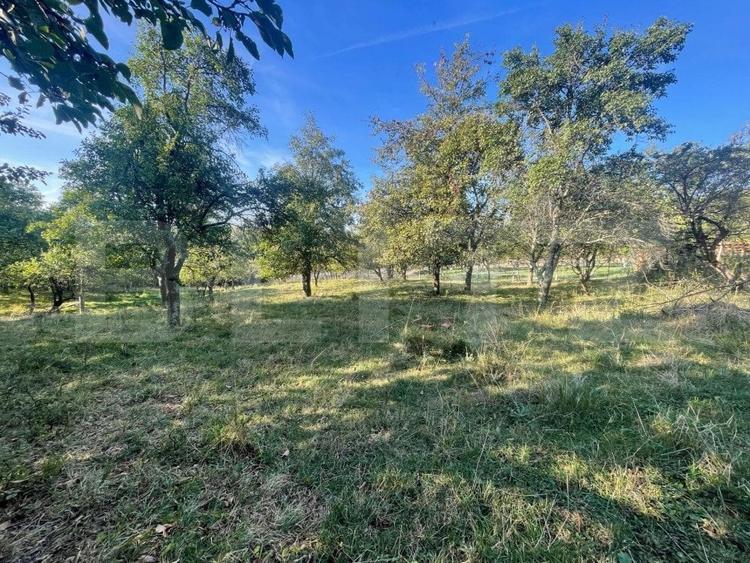 Casa de vanzare, 70 mp , teren de 3000 mp , Cacova Ierii - 6