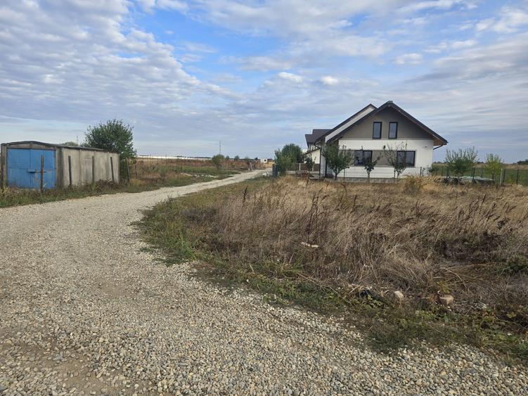 Vand teren Comuna Berceni ilfov - 6