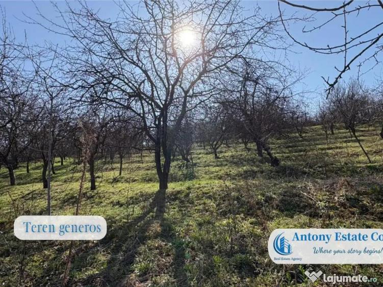 Casa cu Livada proprietate deosebita cu livada si cur... - 14