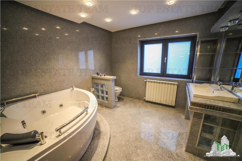 Vila pretabila rezidenta/office Iancu Nicolae - 10