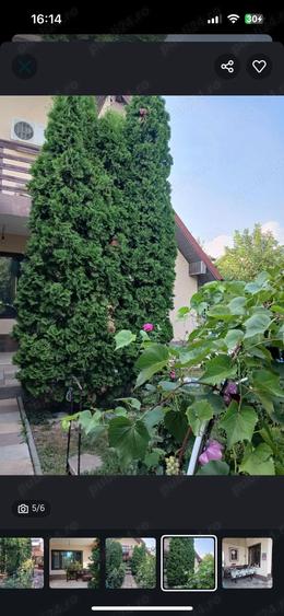 Casa P+1+Pod 145 mp + utilitati - 1