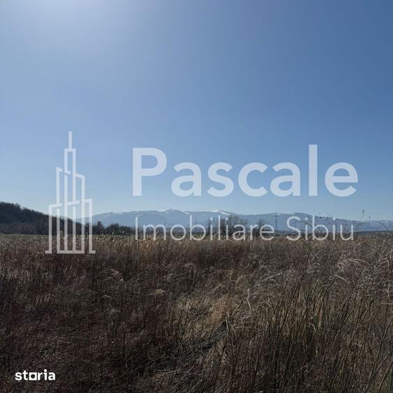 Oportunitate de investi?ieTeren agricol in Bungard, langa raul Cibin! - 3