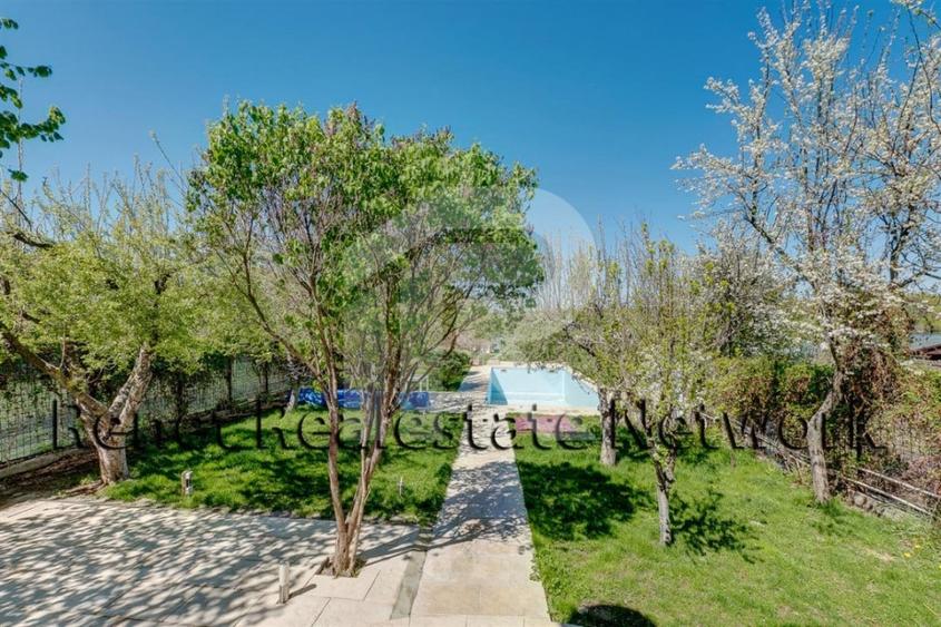 O Poveste de Vis pe Malul Lacului Snagov - 35