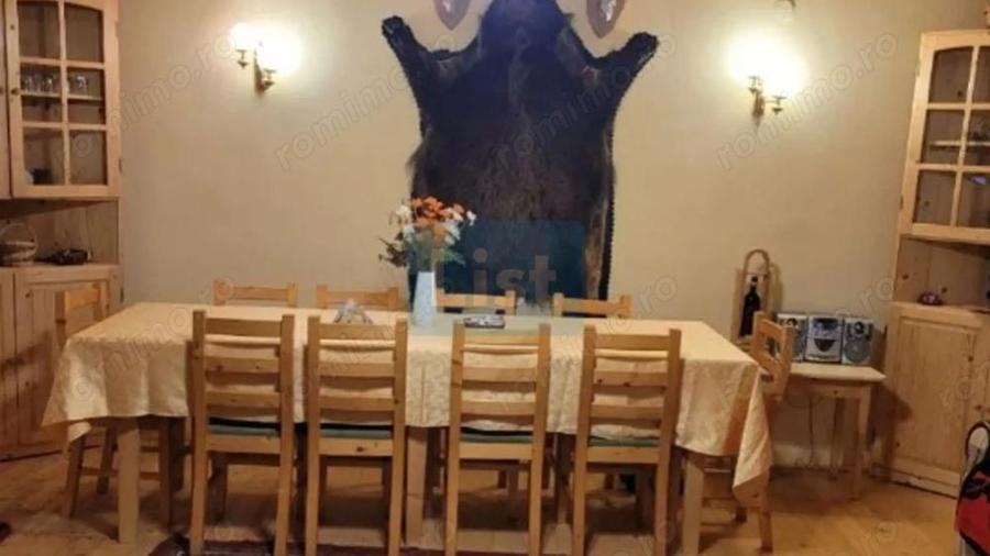 Proprietate Unica in Inima Naturii Galaoaia, Mure? - 7