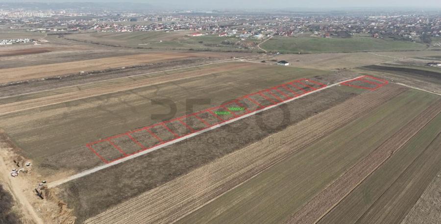 RECO Teren intravilan Cihei Sanmartin - 1