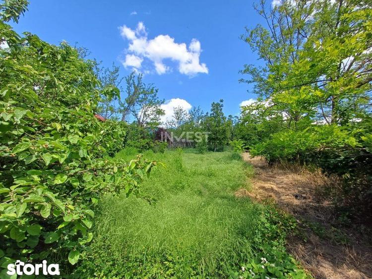 TEREN INTRAVILAN, 602 MP, REDIU - 2