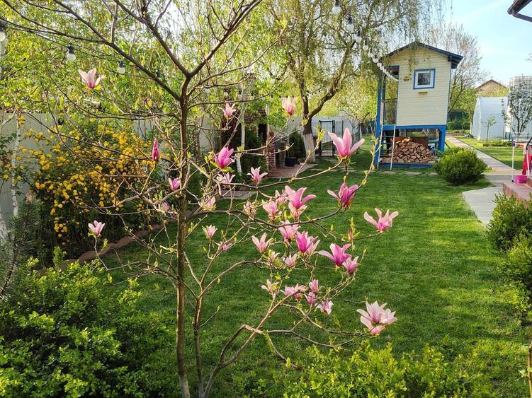 Casa individuala Sanandrei, 160mp SU + 1000mp teren pozitie excelenta - 2