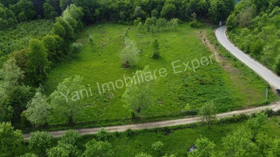 Teren de vanzare in comuna Corbi, jude? Arge?. - 14
