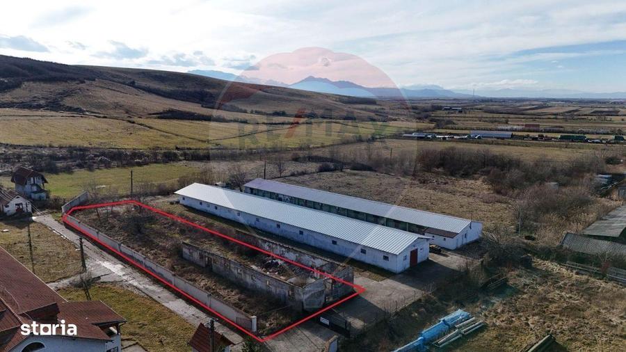 Teren intravilan 1.729 mp + hala partial demolata | Teliu I Comision 0 - 1