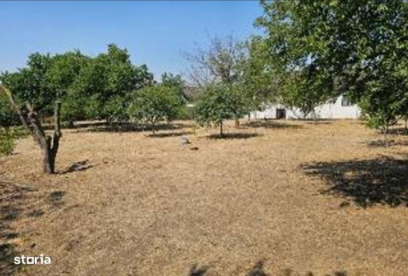 Teren investitie Lumina - 3000 mp, Deschidere 46 m, Toate utilitatile - 2