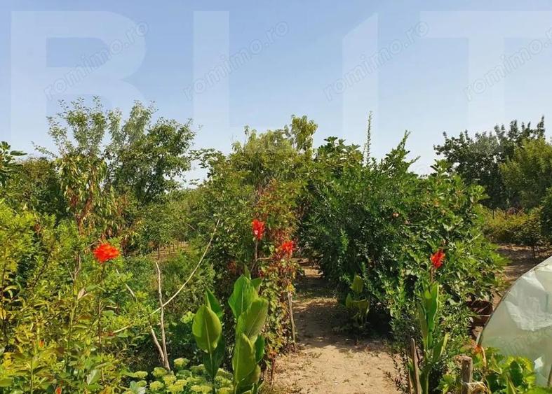 DE VANZARE Casa cu gradina mare in Lugoj - 3