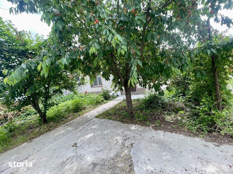 Oportunitate comerciala, birouri, casa de vacanta in centrul Corbeanca - 2