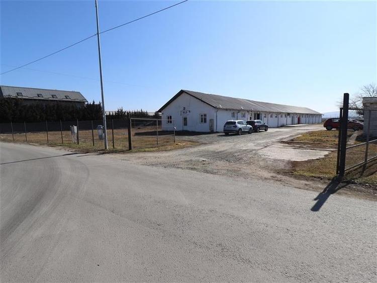 Teren intravilan 9359 mp  |  hala 786 mp | Apahida | zona Libertatii - 1