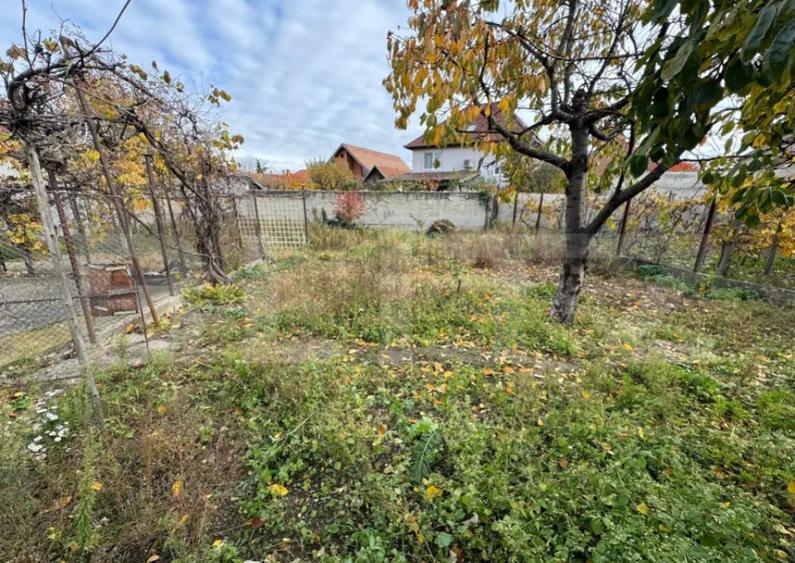 Casa saseasca, 3 camere, 700 mp teren, Sebe? - 6