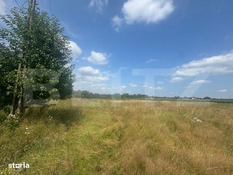 Teren intravilan, 5.041 mp, Horodnic de Jos - 1