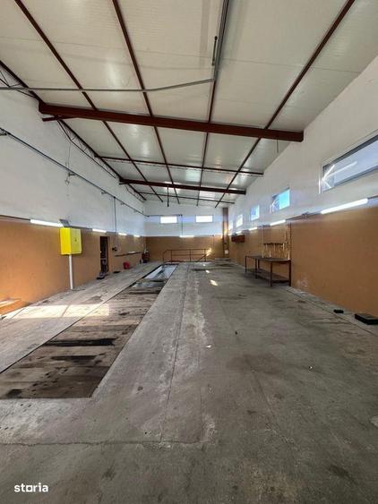 Hala de inchiriat in Vladimirescu - 5
