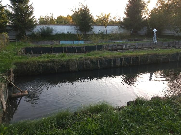 Oportunitate: Teren constructii si pastravarie  in Zona Metropolitana Brasov - 5