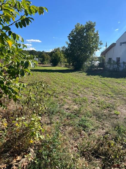 Teren de vânzare 1000mp Zona Astoria, Snagov - 1