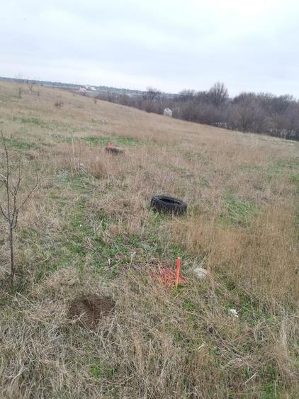 TEREN INTRAVILAN 306 mp – Palazu Mare, Constanta - Ocazie Unica - 5