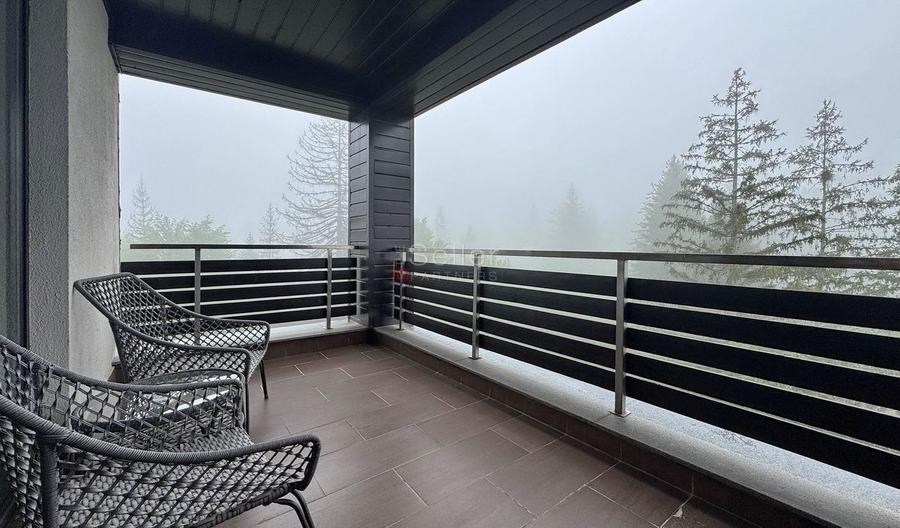 Priveliste spre masivul Postavarul - 1