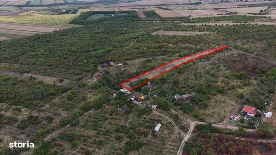 RECO Teren Episcopia - 4