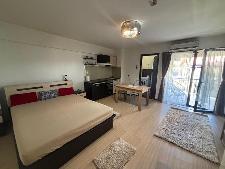 Apartament 1 camera in zona Palas - 1