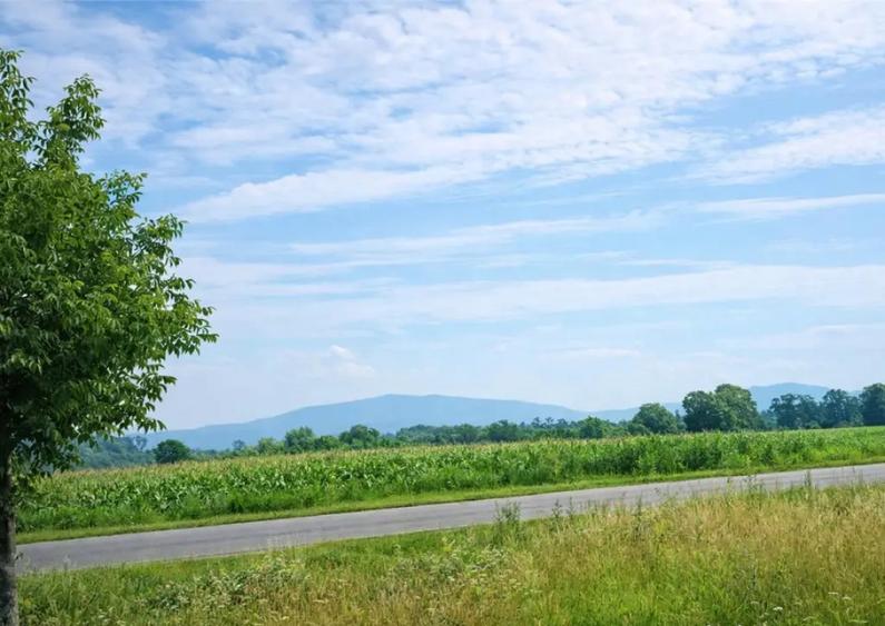 Lot pentru casa, 800 mp intravilan, Bod, 15 min Brasov - 2