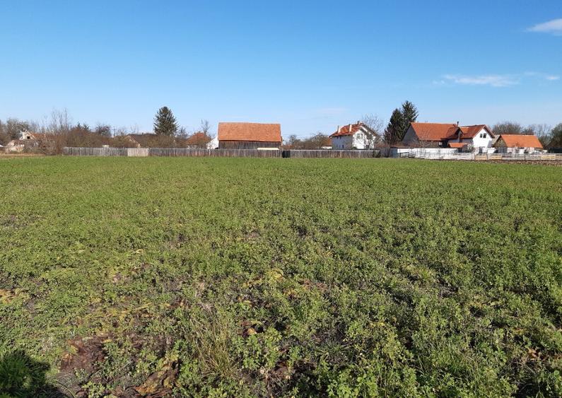 Teren intravilan central utilitati construibil Lunca Calnicului 2325mp - 1