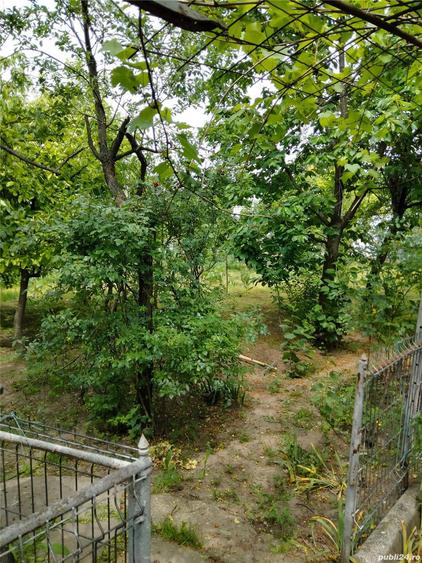 Casa la Glodeanu Silistea Buzau - 5