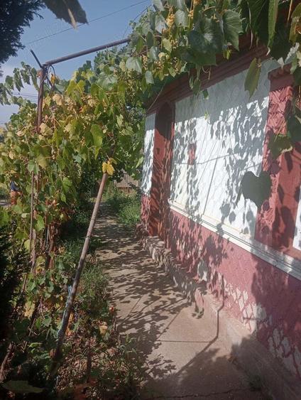 Casa Ciulnita Slobozia Ialomita - 4